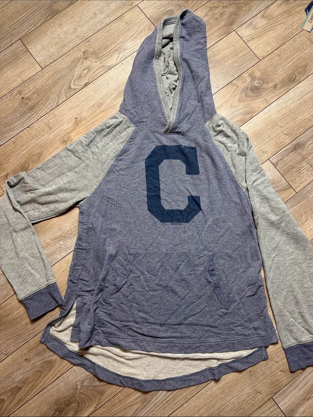 Homage Cleveland Guardians Hooded Pullover